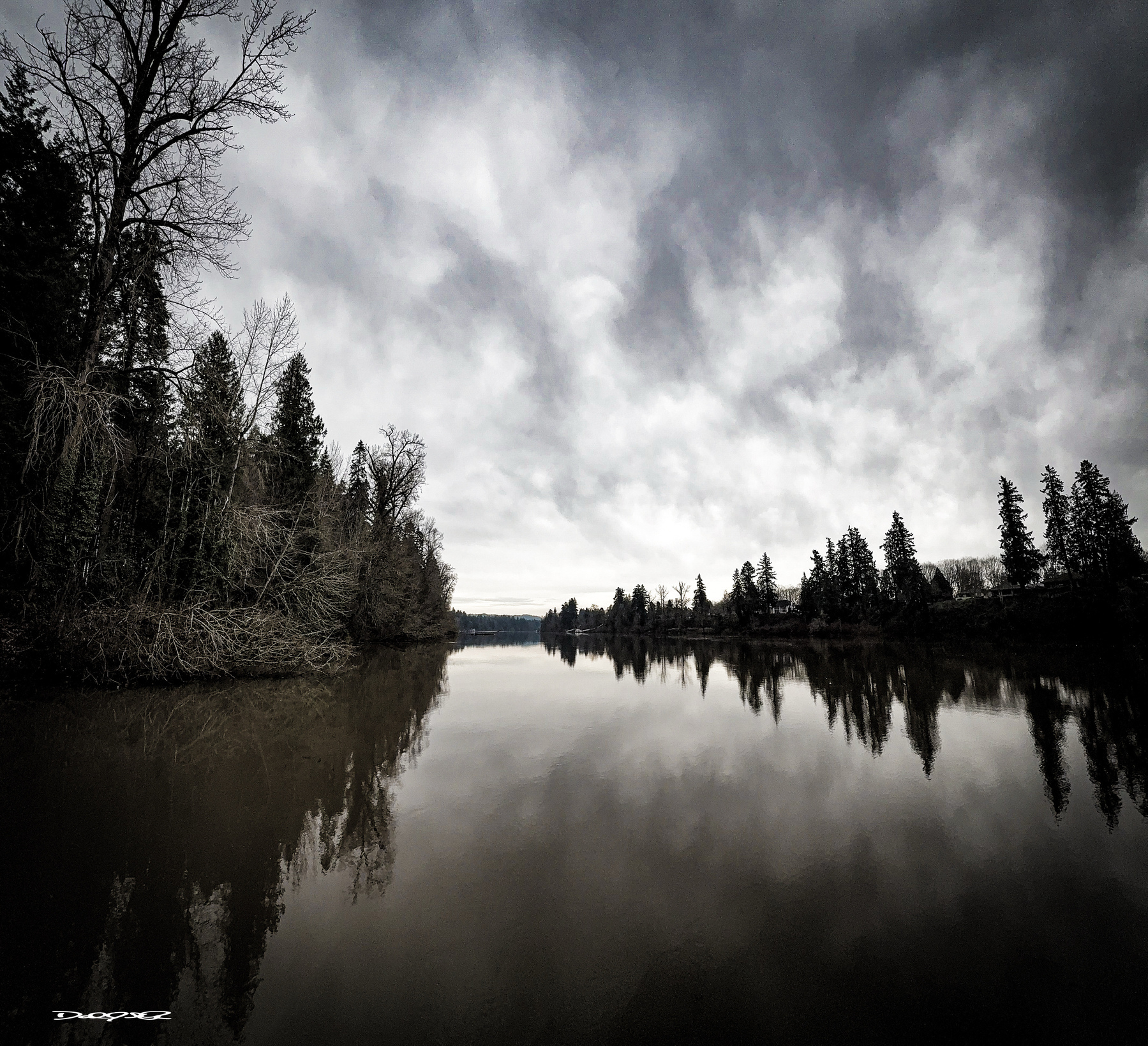 In a black and white edit, A serene and glassy Willamette River is flanked by dense trees under a cloudy sky, reflecting the landscape in its still waters.