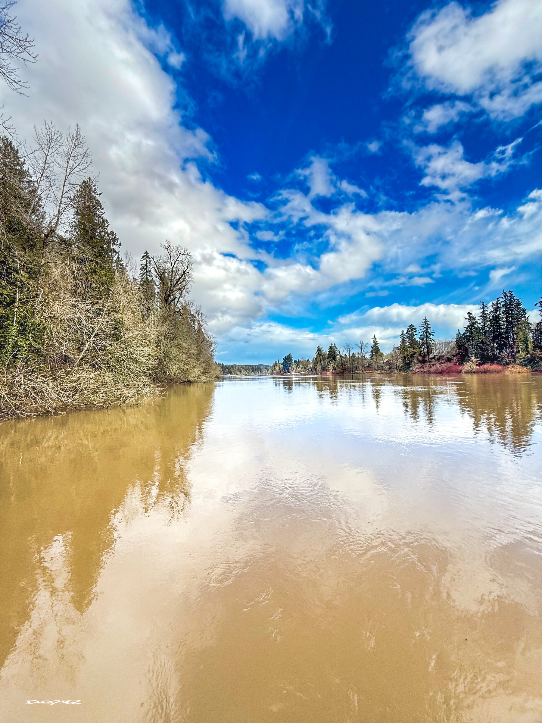 A serene Willamette River reflects the dramatic, cloudy sky, flanked by trees on both sides.