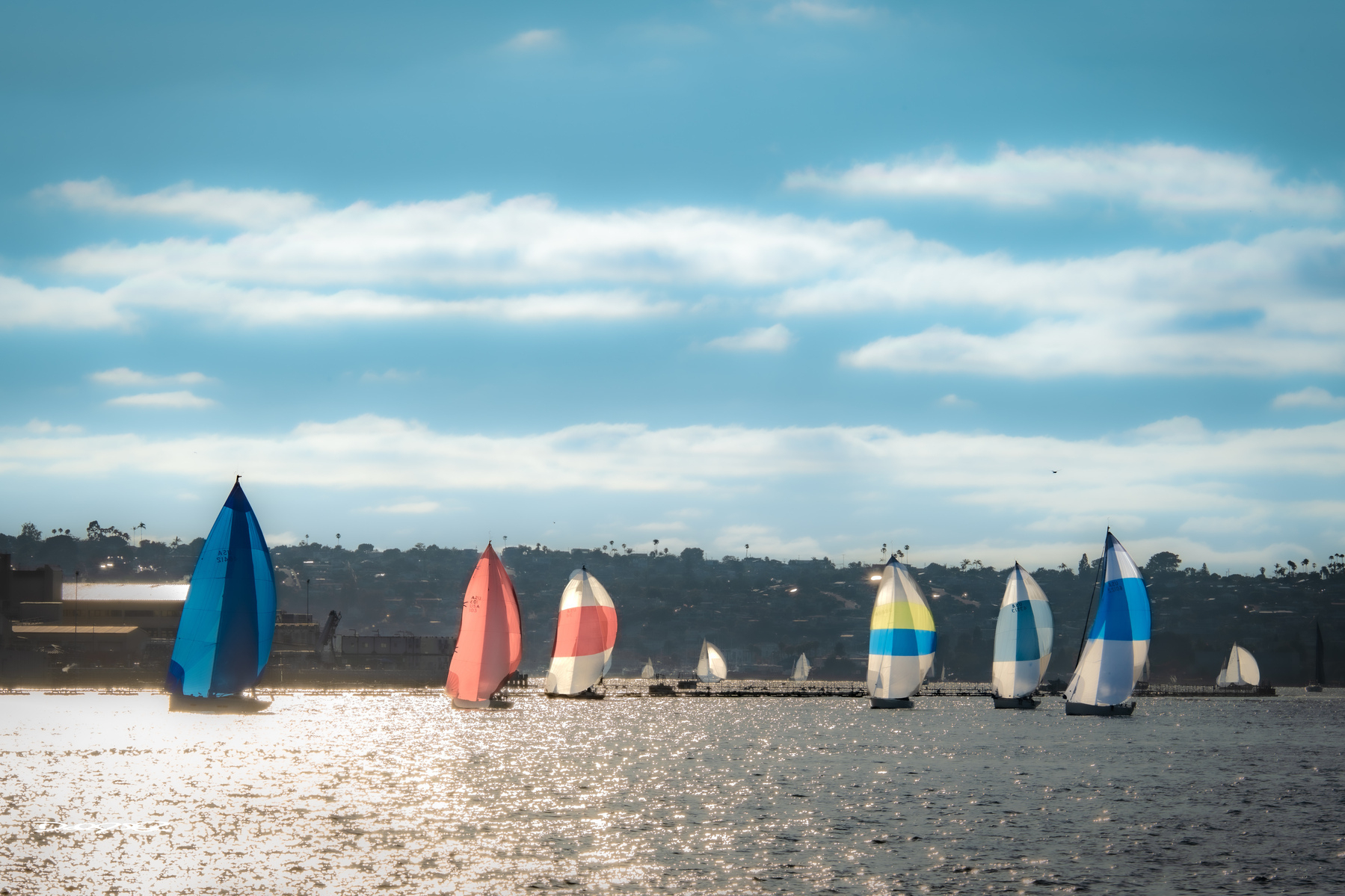 Sailboats with colorful spinnakers glide across a shimmering body of water under a partly cloudy sky.