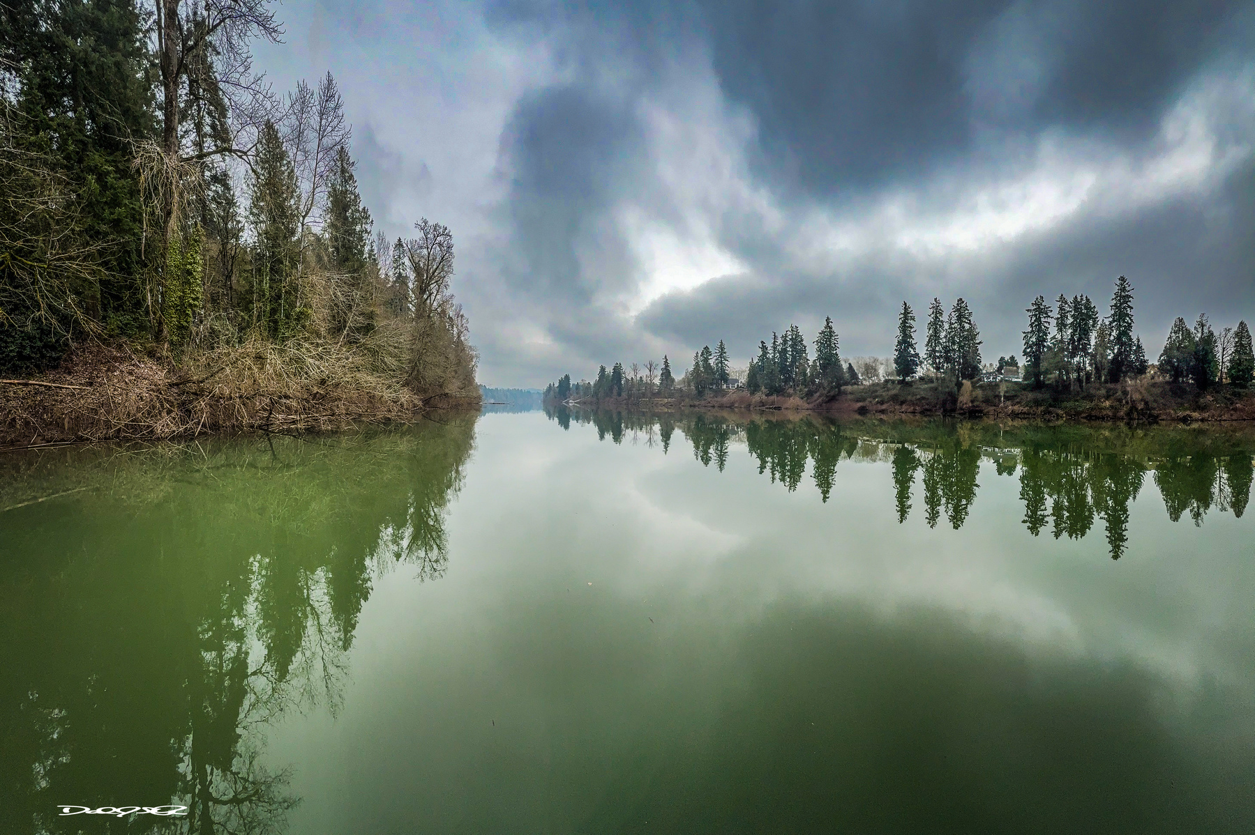 A tranquil Willamette River scene captures a mirrored reflection of the cloudy sky and surrounding trees along the shoreline.