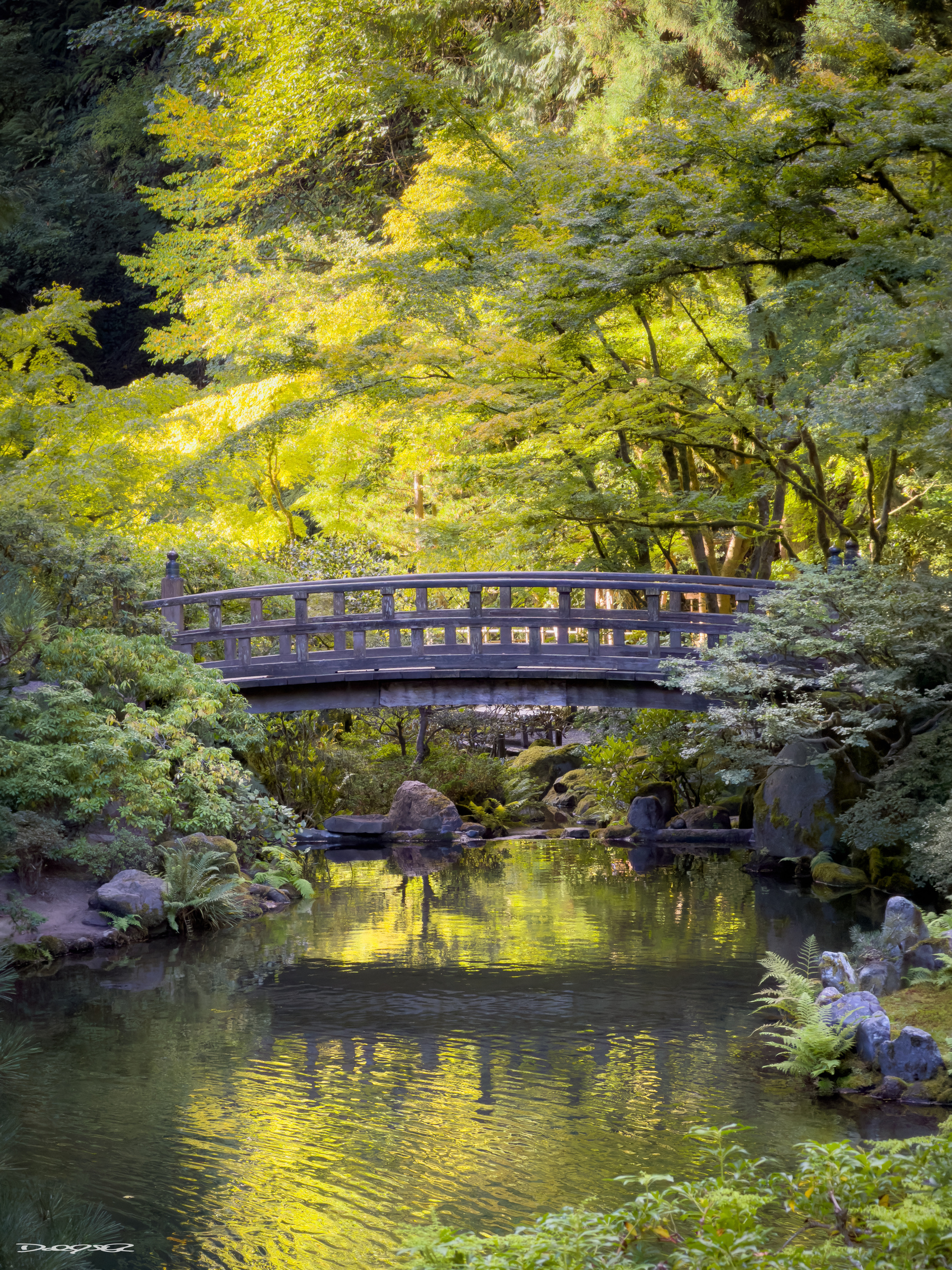 A serene garden scene features a wooden bridge over a reflective pond, surrounded by lush green foliage at the Portland Japanese Garden