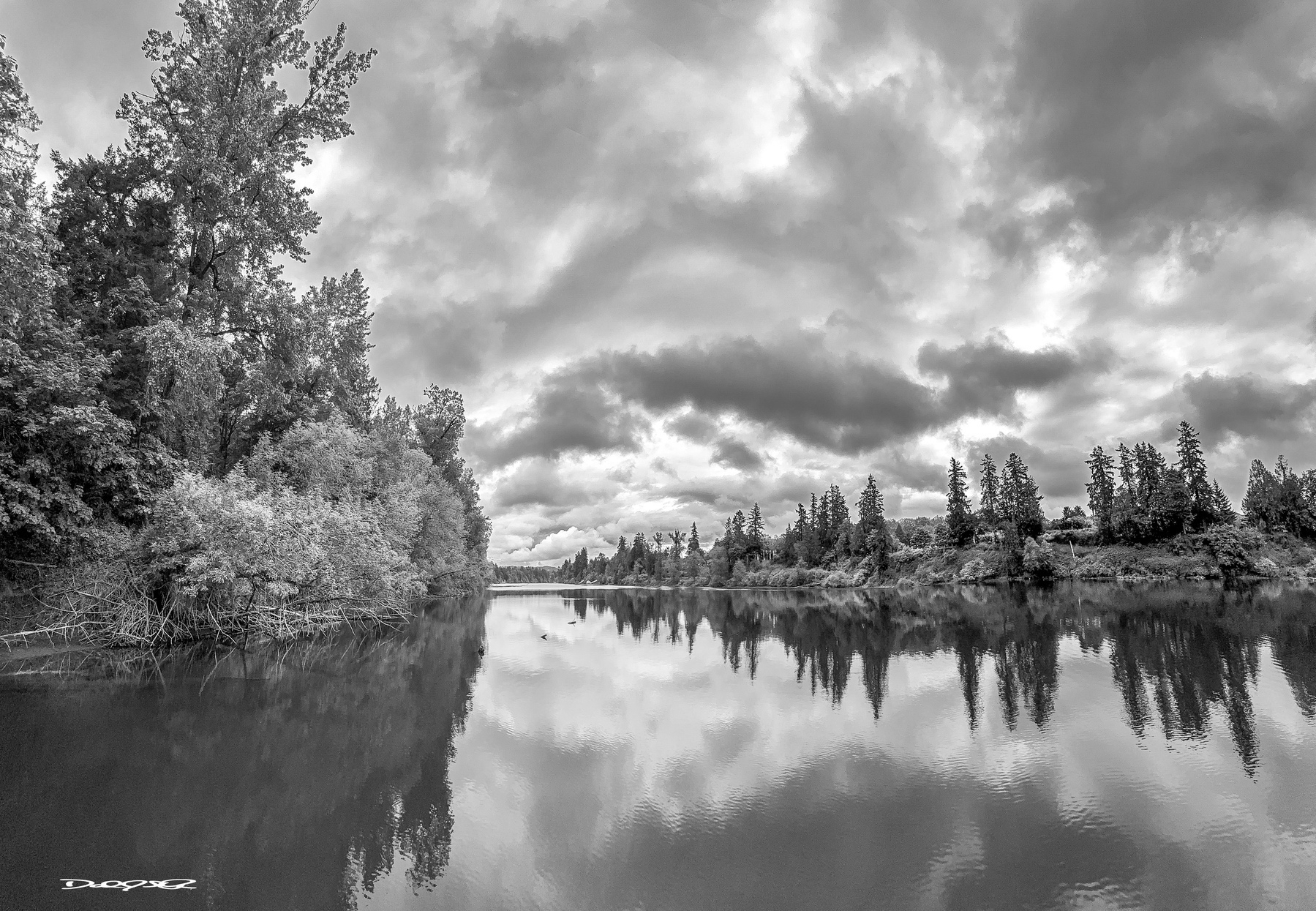 A tranquil Willamette River reflects the dramatic, cloudy sky and surrounding trees in a serene black-and-white landscape.
