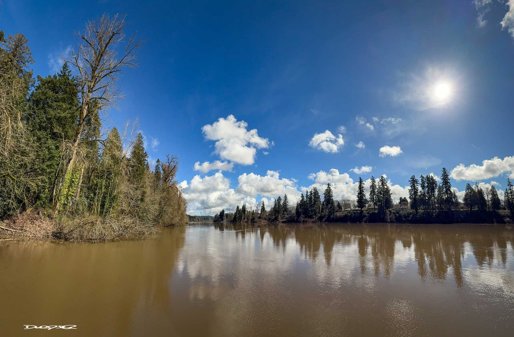 Puffy white clouds in a blue sky over the Willamette River surrounded by the green forest.