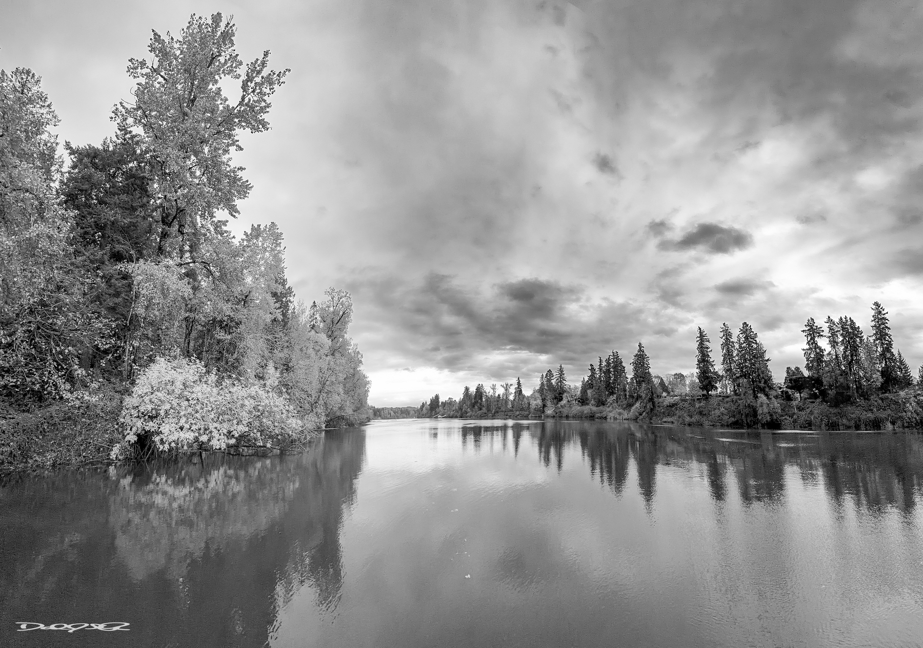 A serene river scene features tall trees lining the banks and their reflections mirrored in the calm water under a dramatic, cloudy sky.