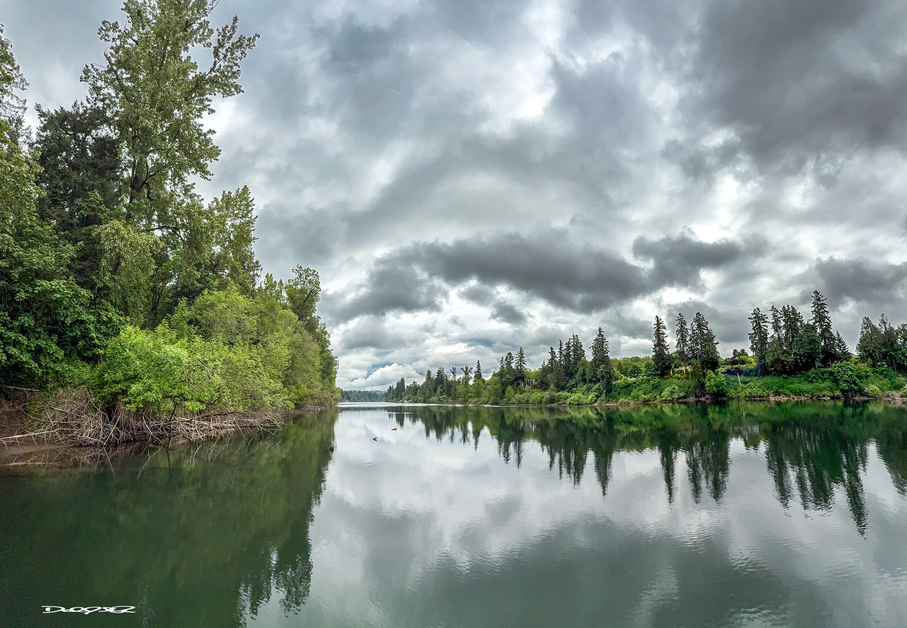 A tranquil Willamette River reflects the dramatic, cloudy sky and surrounding trees in a serene landscape.