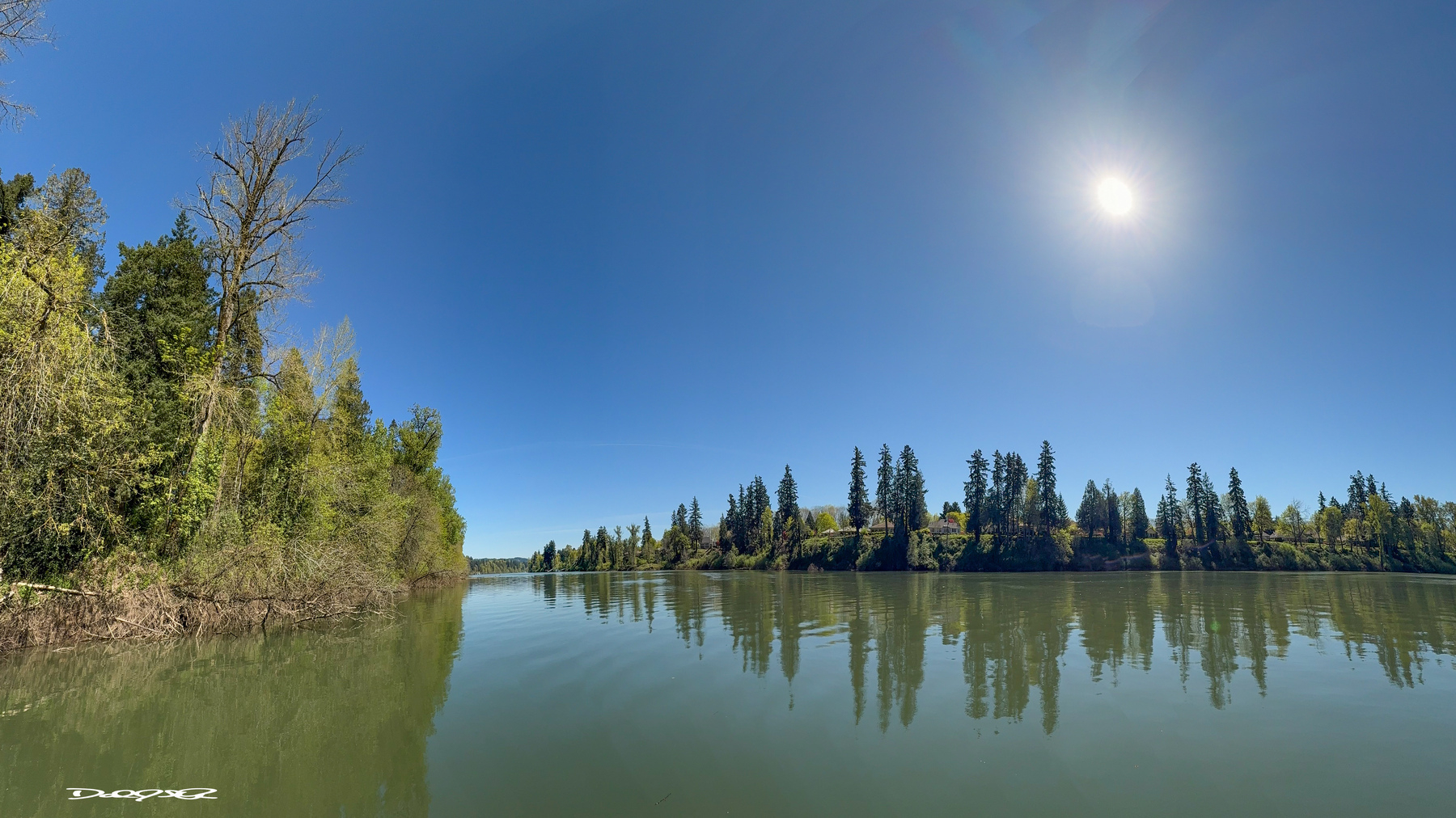 A calm Willamette River surrounded by lush trees reflects a clear blue sky with the sun shining brightly above.