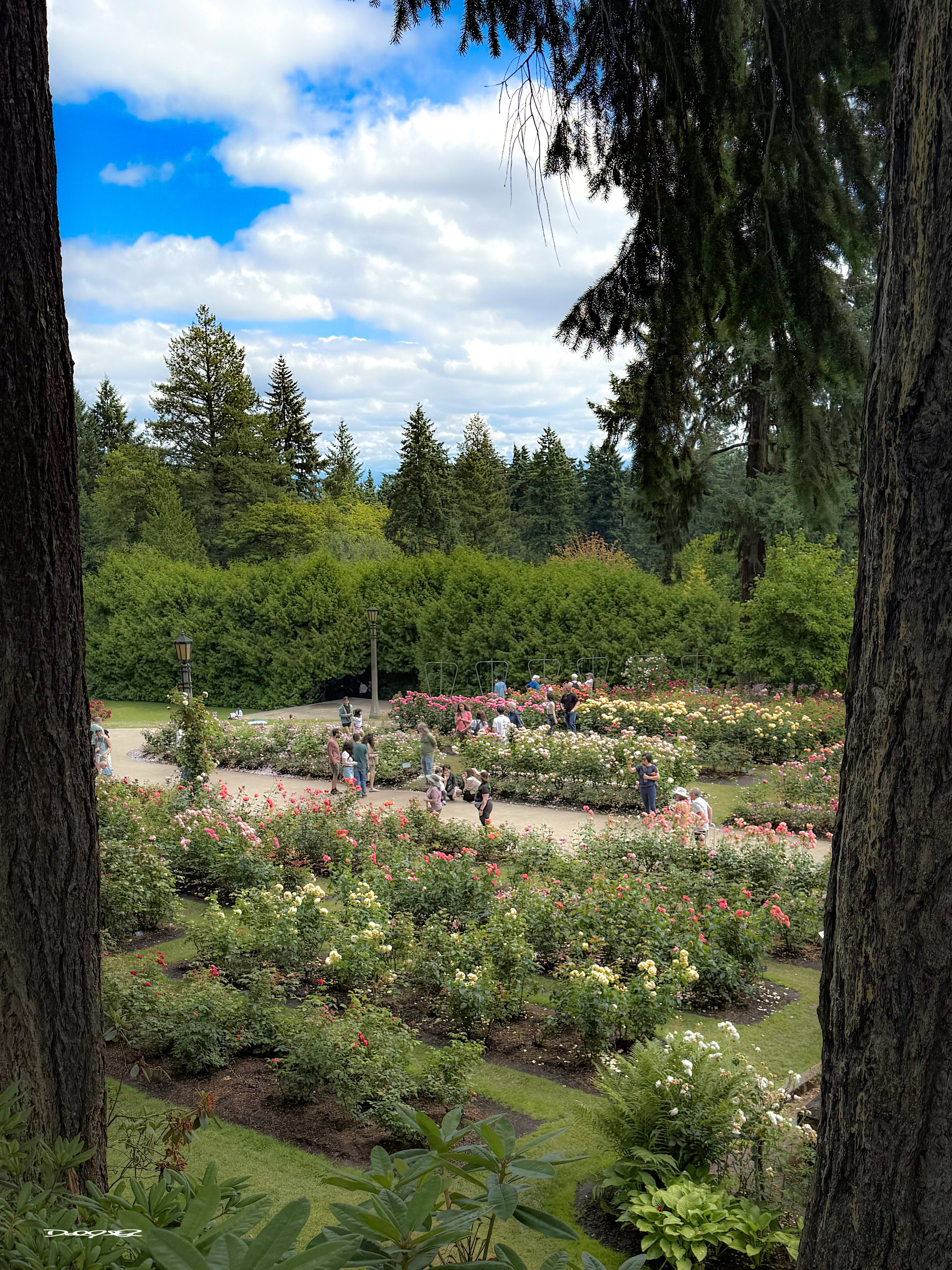 A lush garden featuring pathways, vibrant flowers, and surrounded by tall trees, with visitors enjoying the scenery.