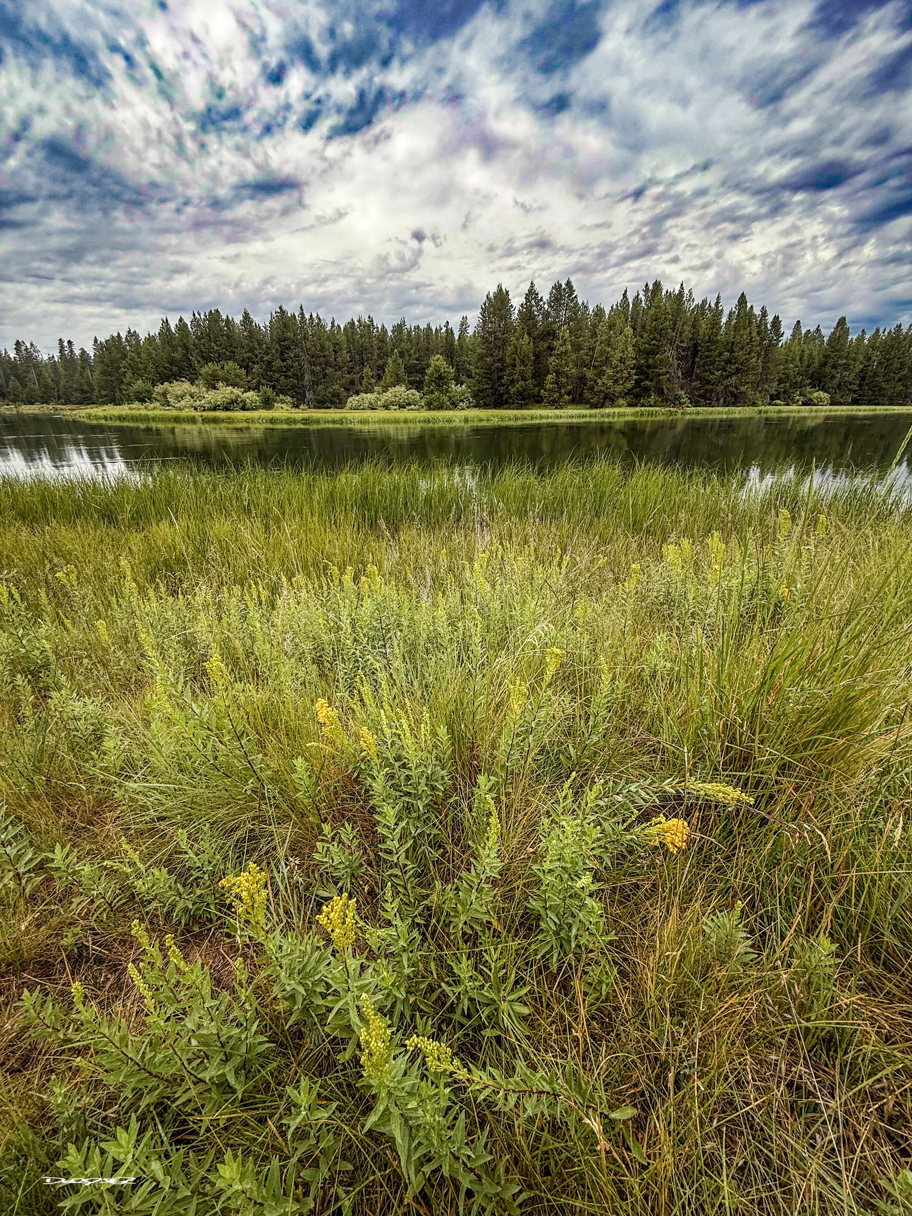 A lush, green landscape featuring a tranquil lake and a backdrop of trees under a partly cloudy sky.