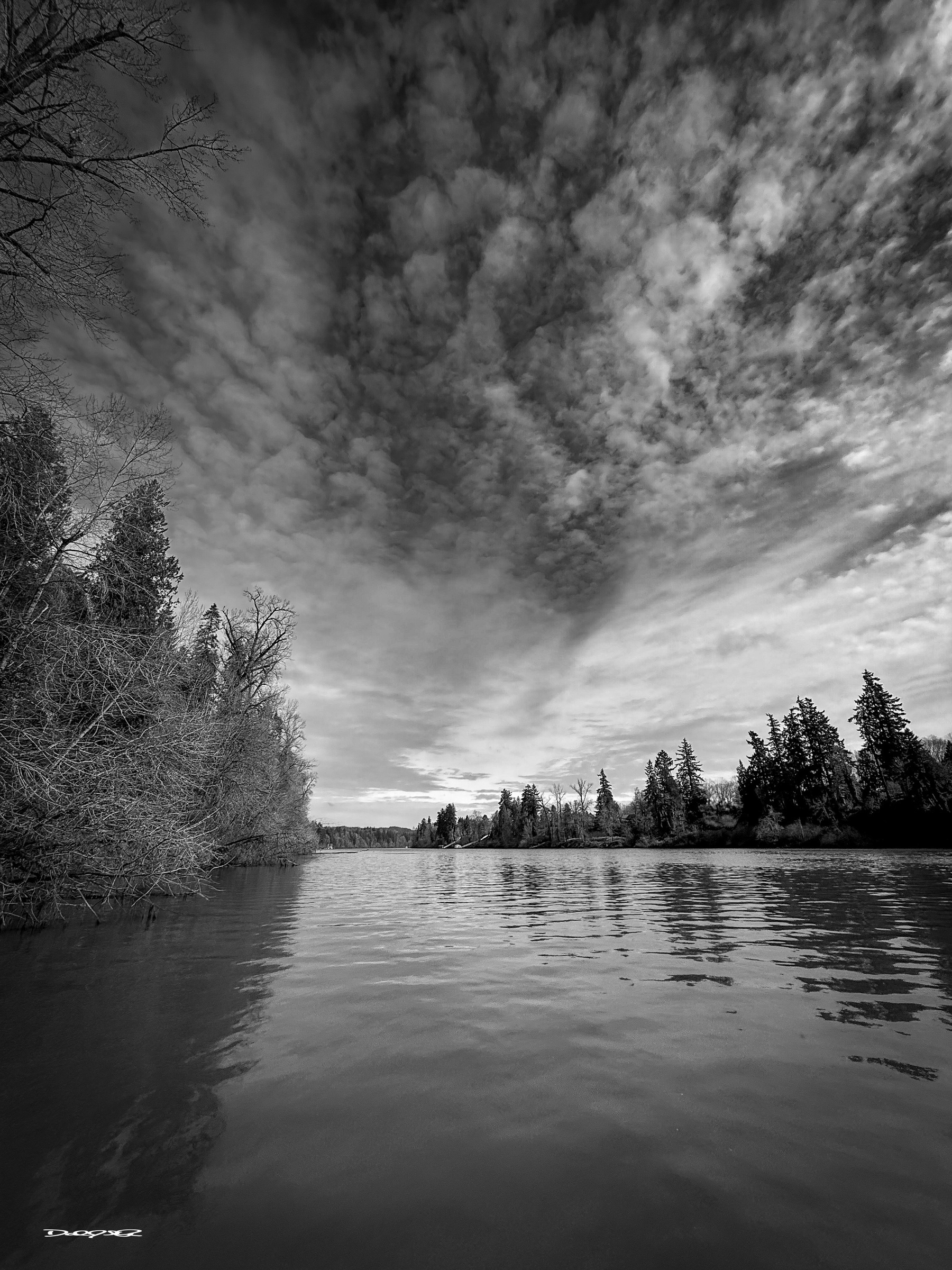 Monochrome: The Willamette River bordered by trees reflects the partly cloudy blue sky above.