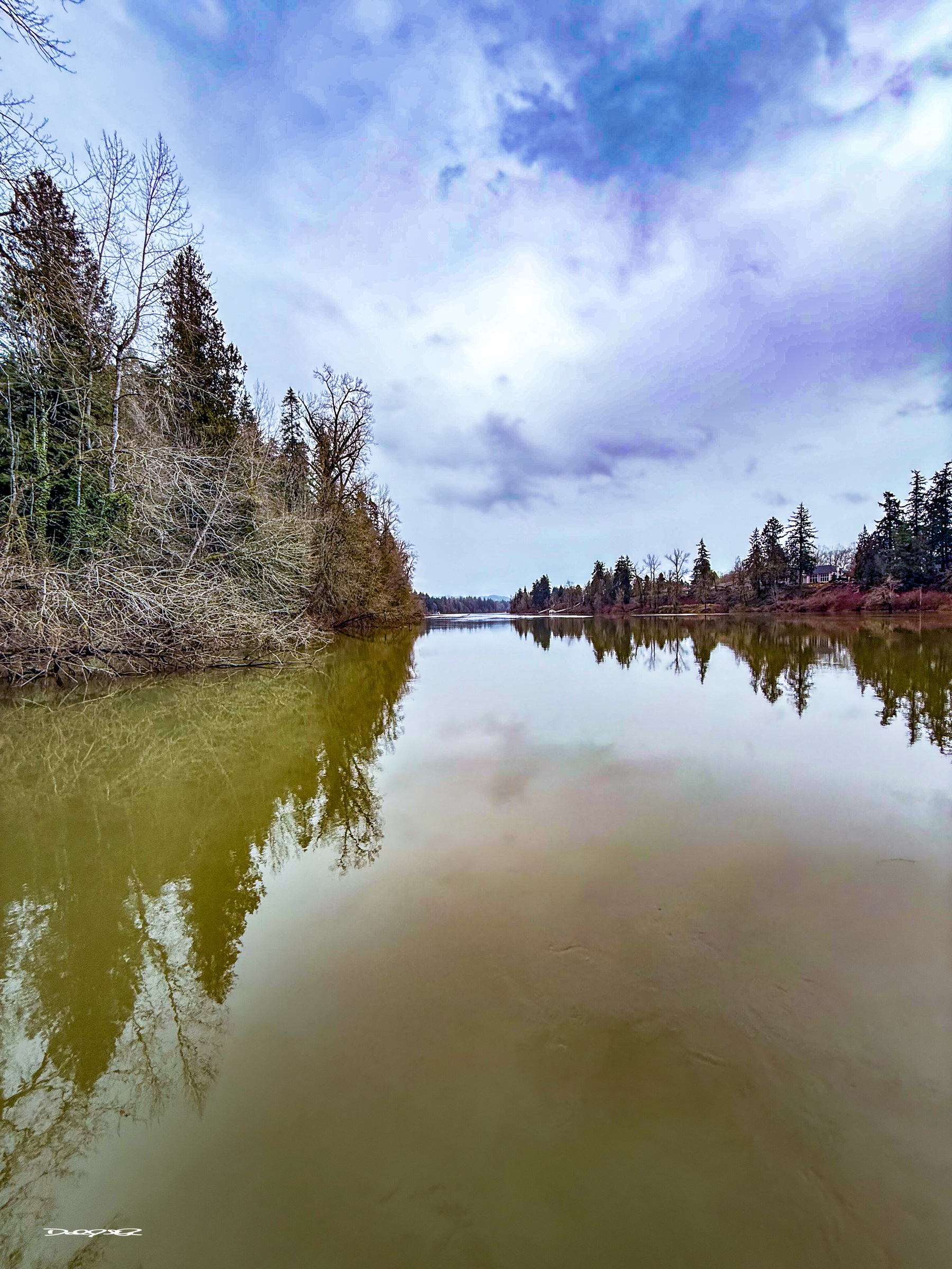 A calm Willamette River reflects the trees lining its banks under a cloudy sky.