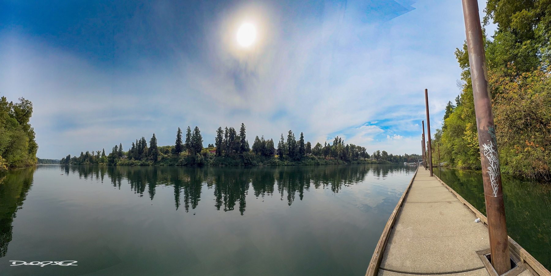 A tranquil Willamette River scene with a dock extending into the water, surrounded by trees under a bright sun.