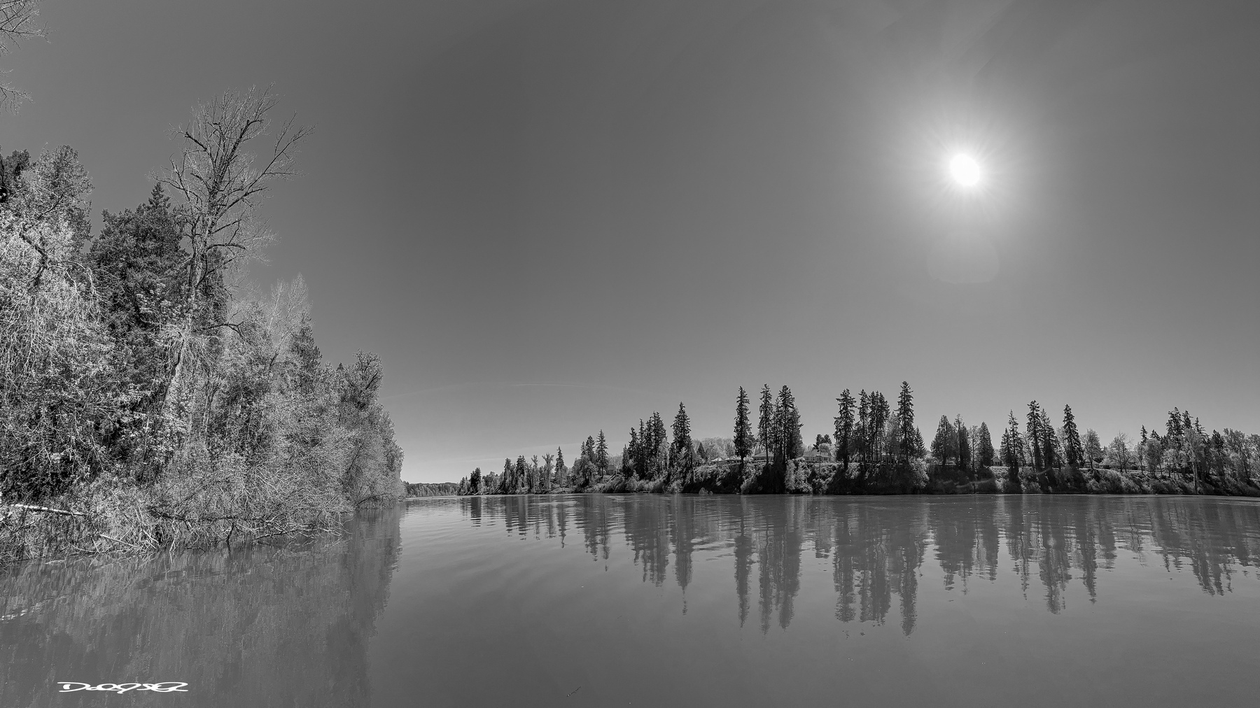 A serene Willamette River monochrome riverscape under a bright sun, bordered by lush trees and their reflections on the water's surface.