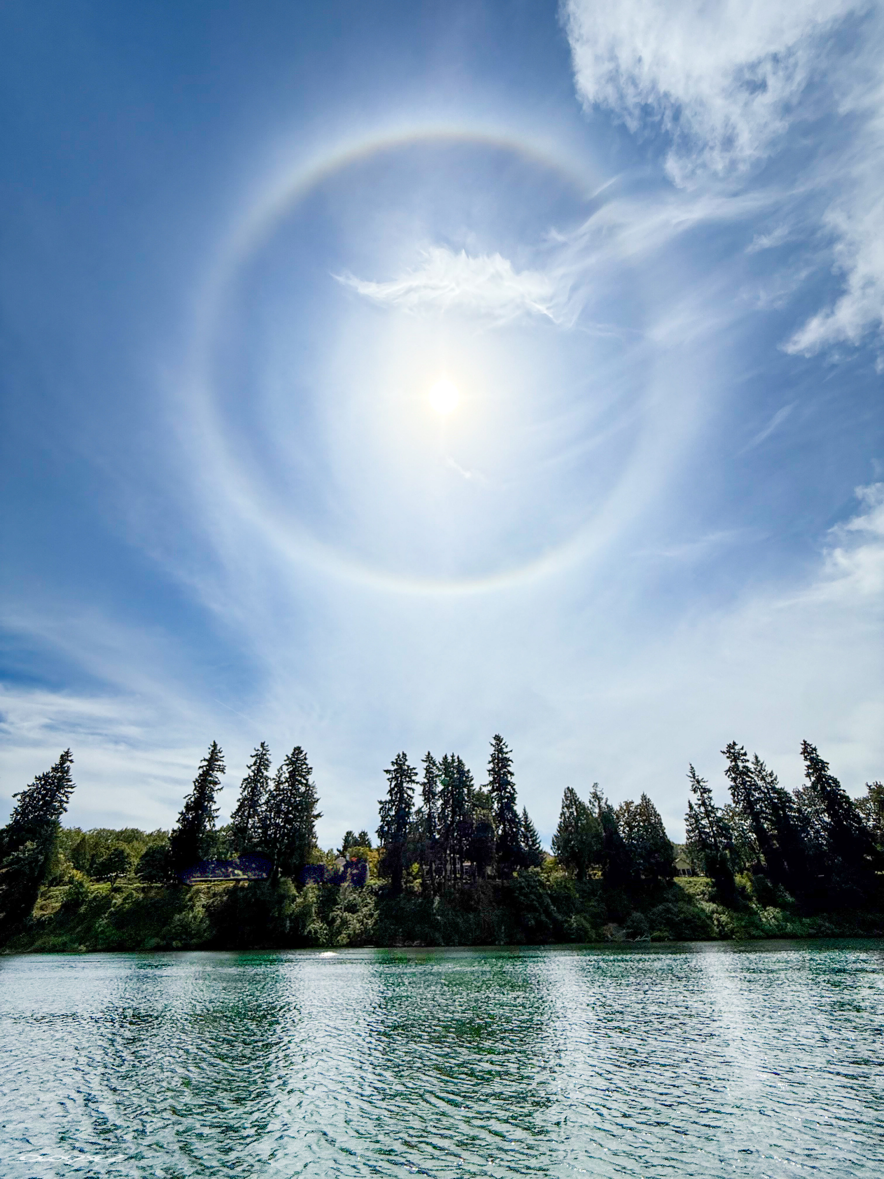 A bright halo surrounds the sun above a serene landscape with a row of trees and a body of water below.