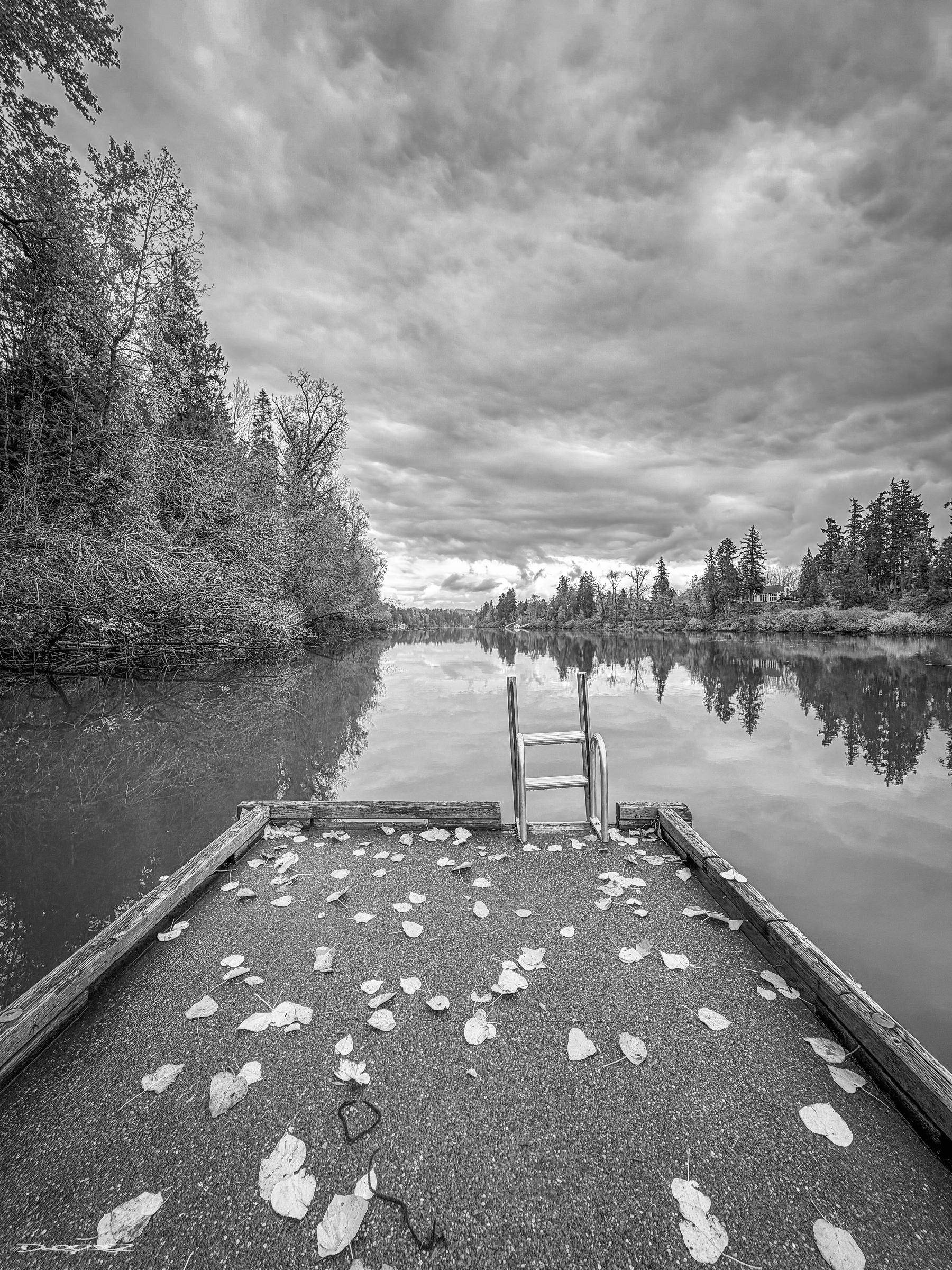 A tranquil scene unfolds with a leaf-covered dock extending into a calm, reflective body of water under a dramatic cloudy sky, surrounded by trees.