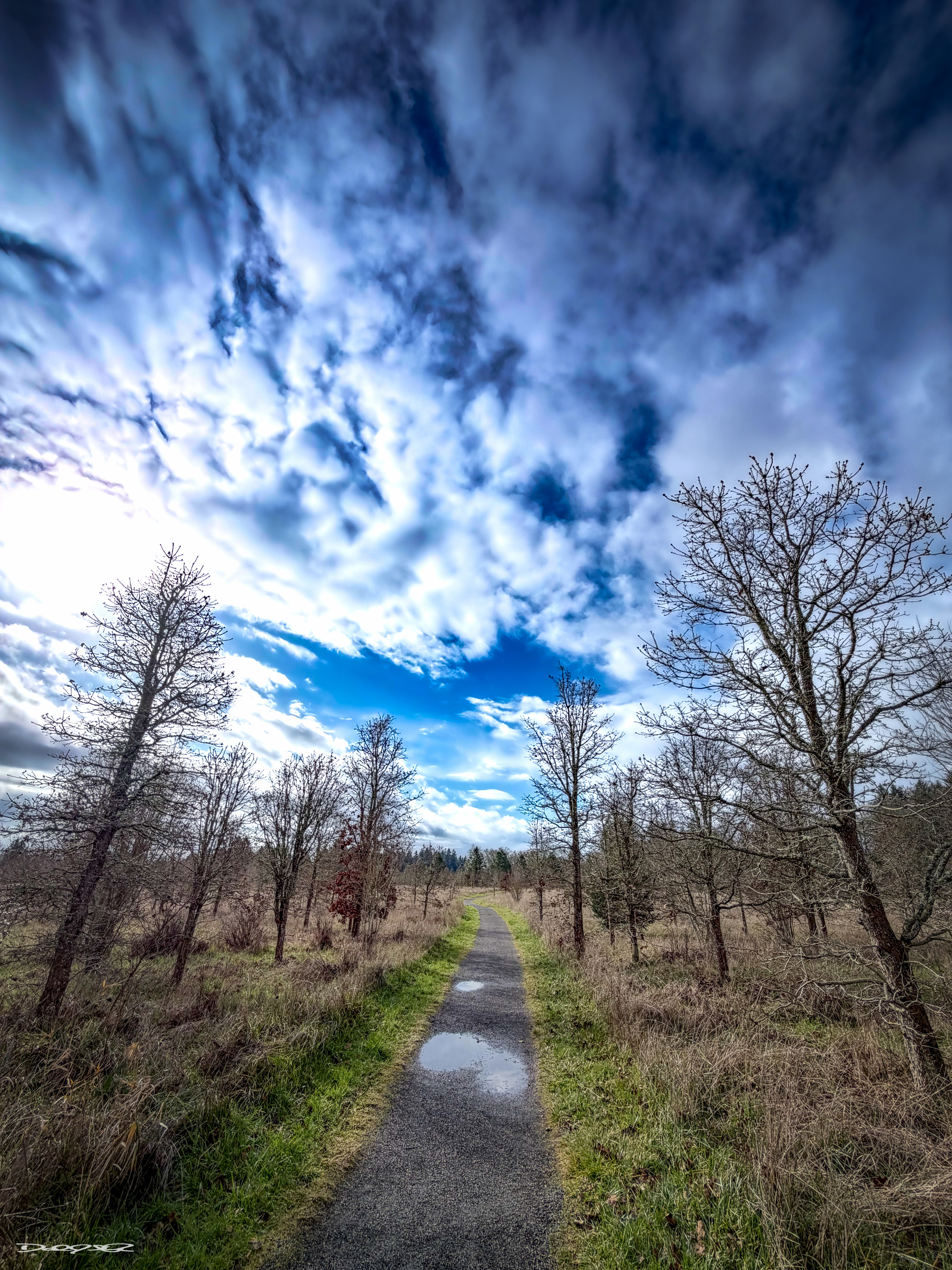 A narrow path stretches through a dry, leafless forest under a dramatic sky filled with clouds.