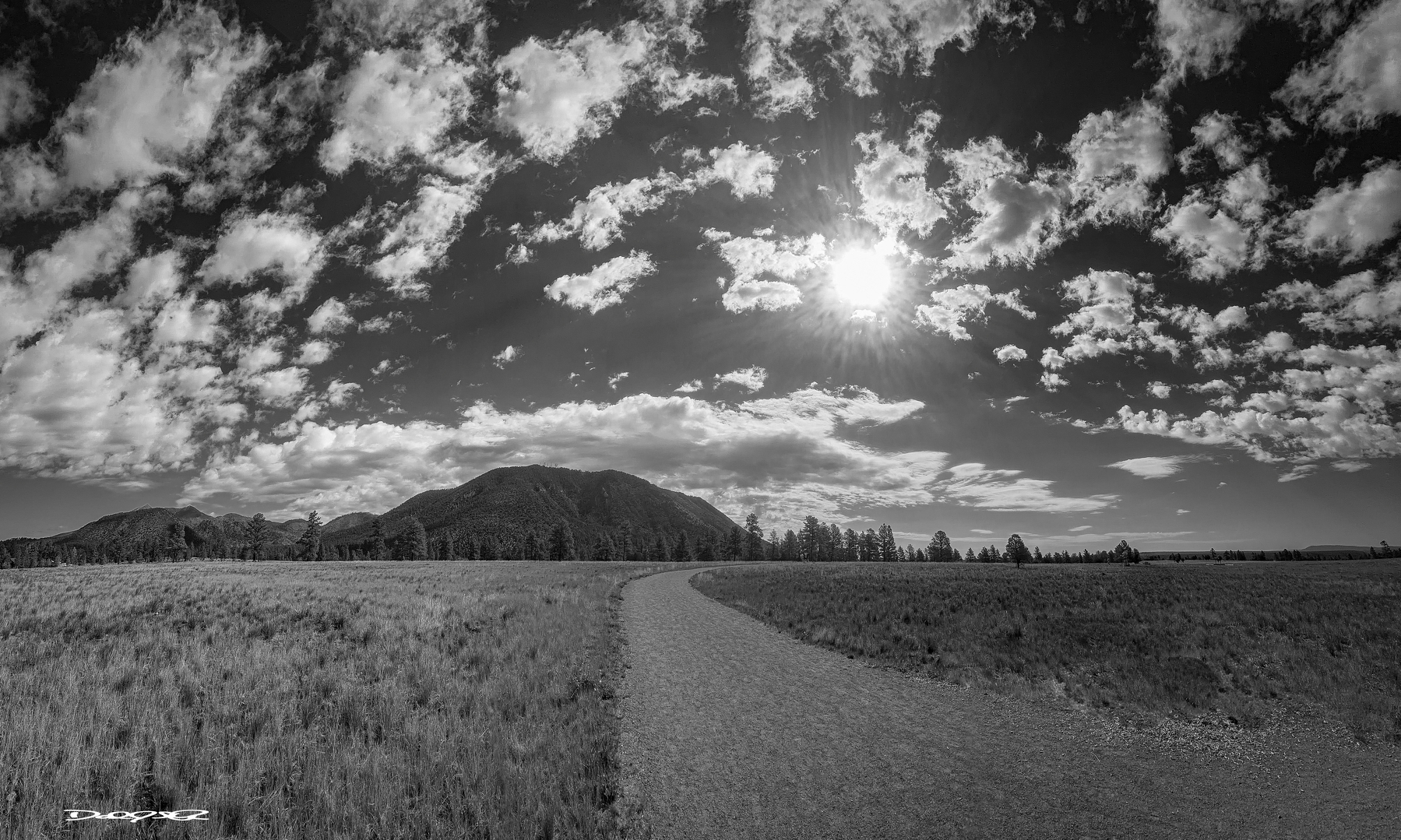 A winding path leads through an open field towards distant hills with a bright sun and scattered clouds overhead in a black-and-white landscape.