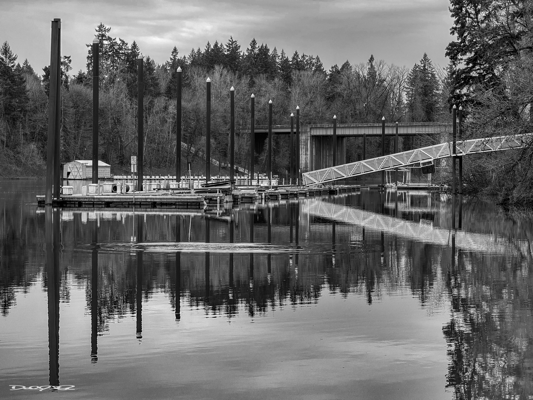 A calm river scene with docks, tall posts, and a metal walkway, surrounded by trees with a bridge in the background.
