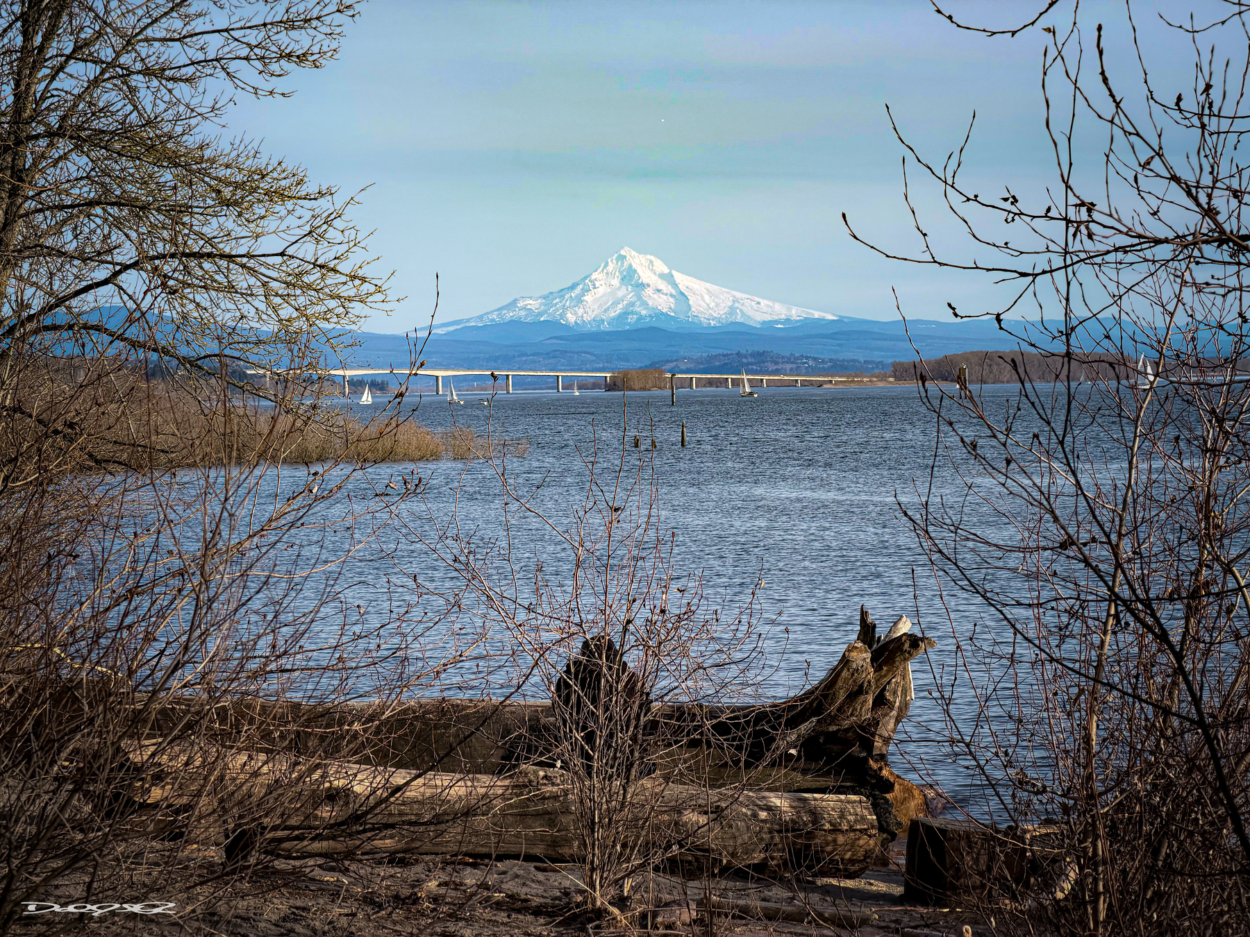 A snow-capped mountain is visible in the distance, framed by a river, trees, and a log-strewn shoreline in the foreground.
