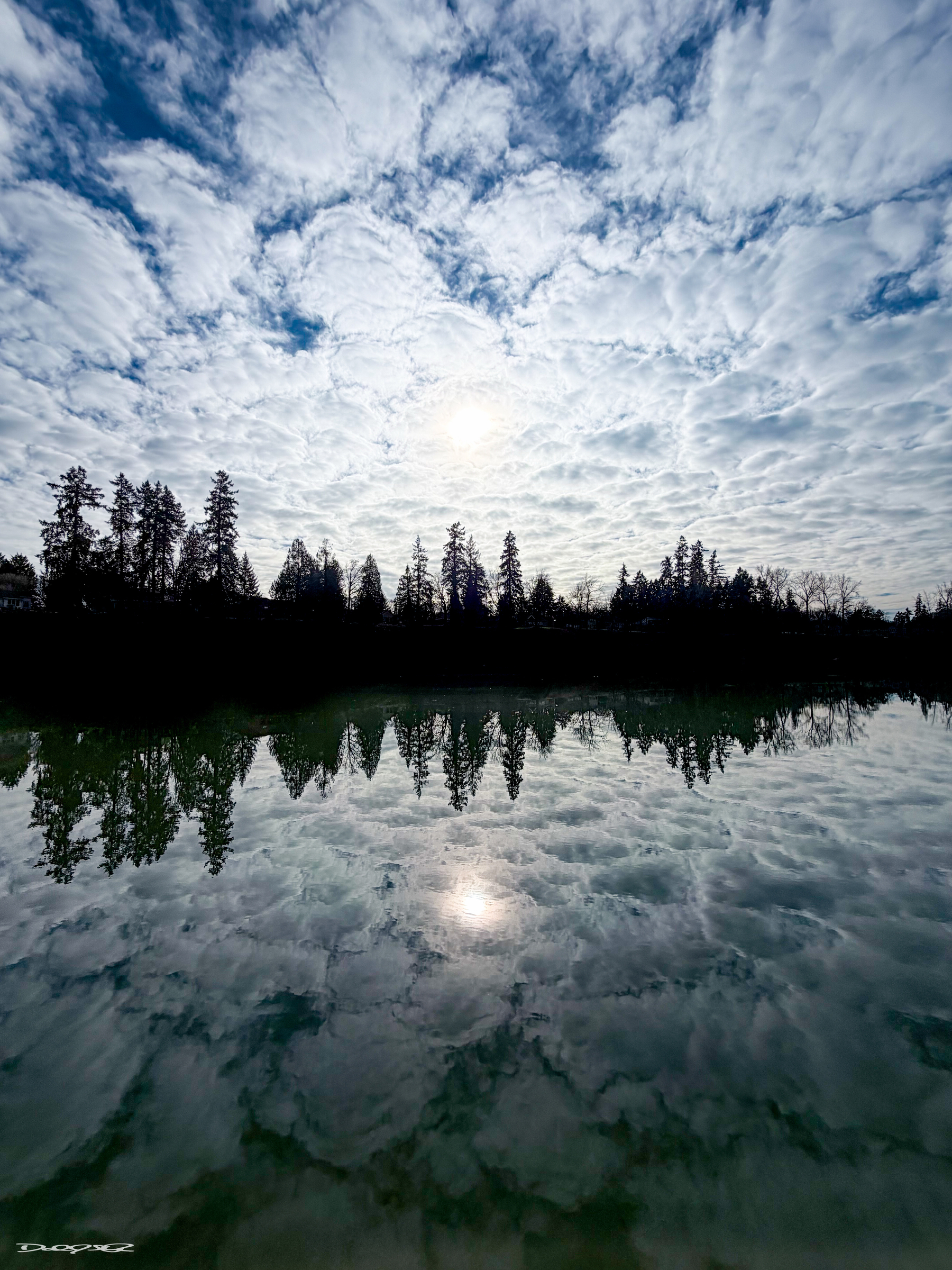 A serene landscape features a calm body of water reflecting a line of silhouetted trees and a partly cloudy sky with the sun shining through.