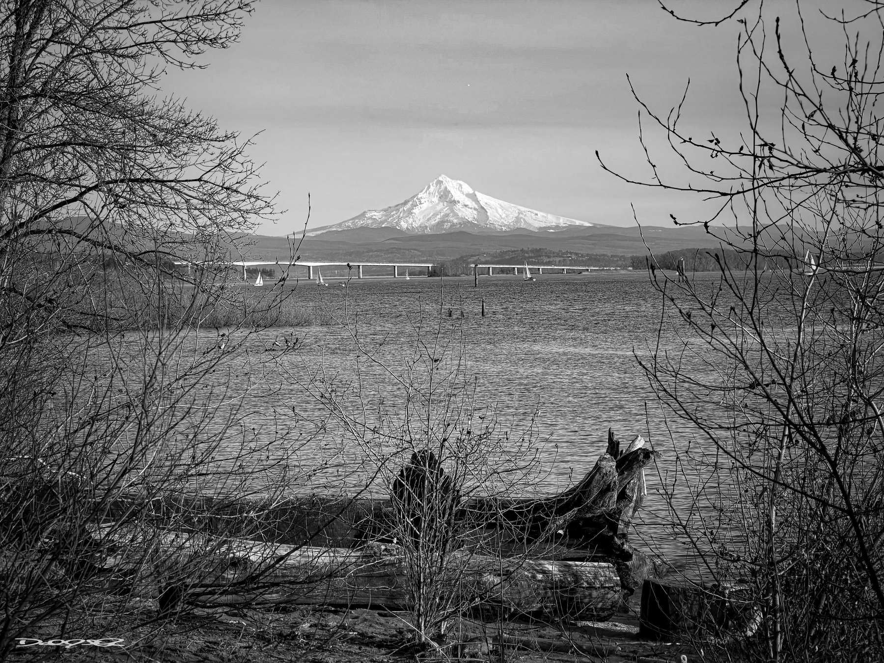 A serene landscape features a snow-capped mountain in the background with a bridge spanning across a body of water, framed by trees and logs in the foreground.