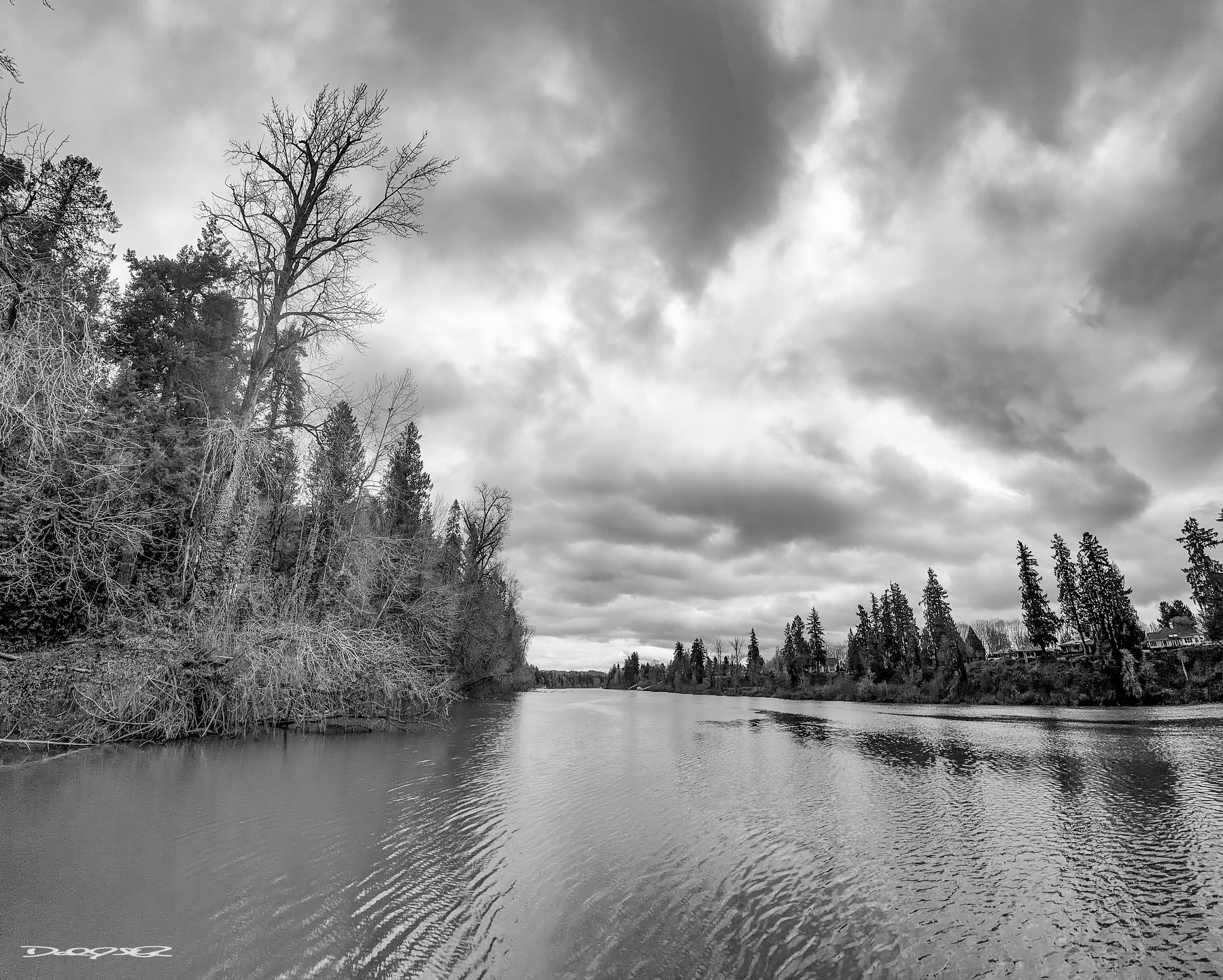 A serene black and white landscape showcases a tranquil river surrounded by trees under a dramatic, cloudy sky.