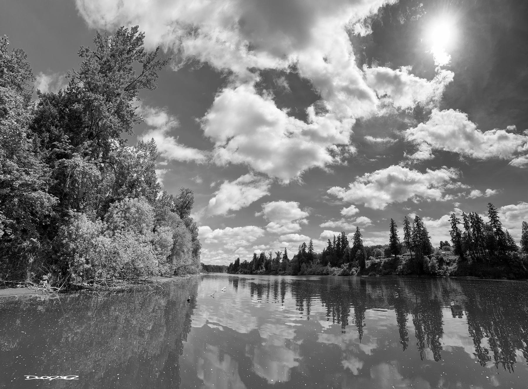 A tranquil river landscape is captured in black and white, featuring reflective water, lush trees, and a sky filled with clouds.