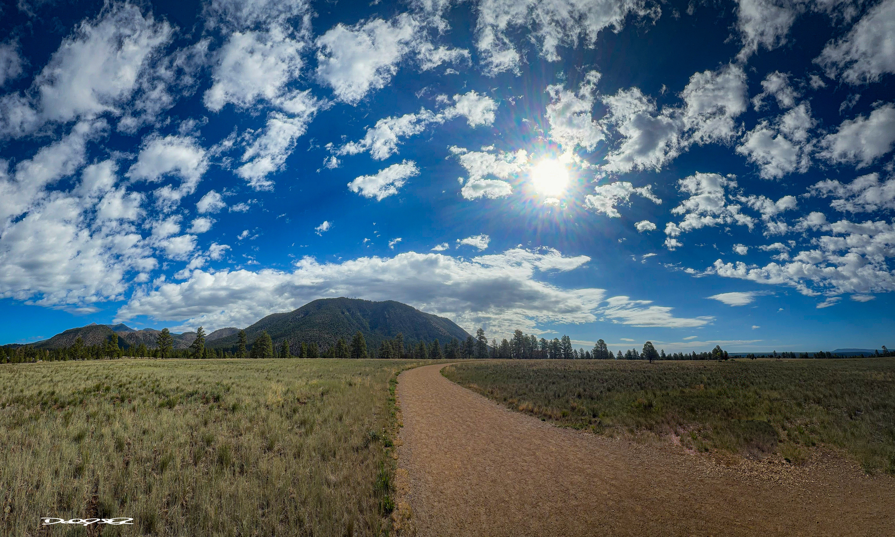 A winding dirt path leads through a grassy field toward distant mountains under a bright blue sky with scattered clouds.