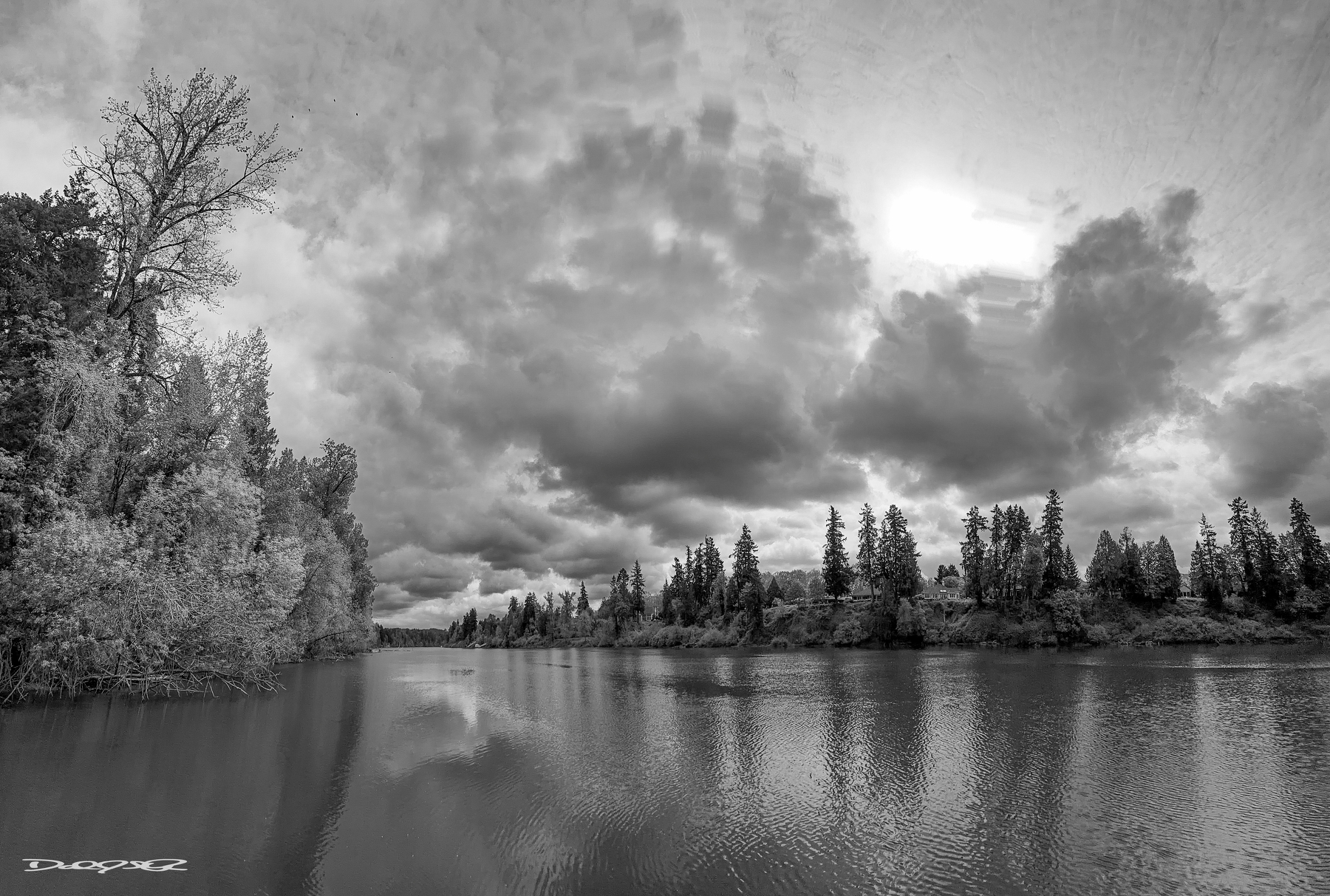 A tranquil Willamette River is bordered by trees under a dramatic, cloudy sky, all captured in black and white.