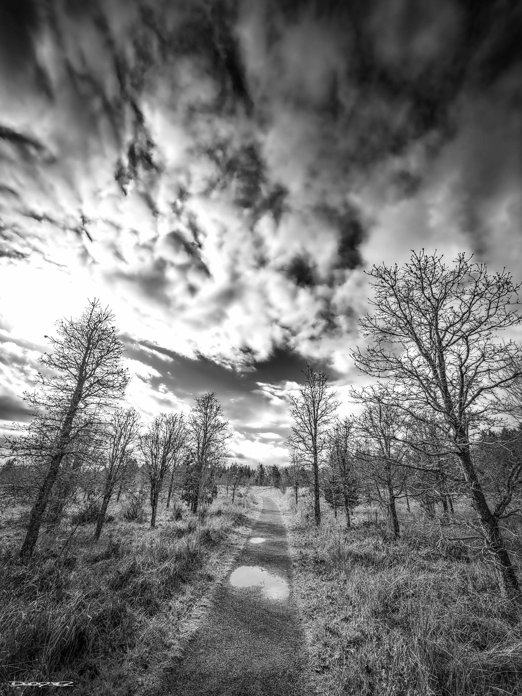 A winding path leads through a barren, tree-lined landscape beneath a dramatic, cloud-filled sky in black and white.