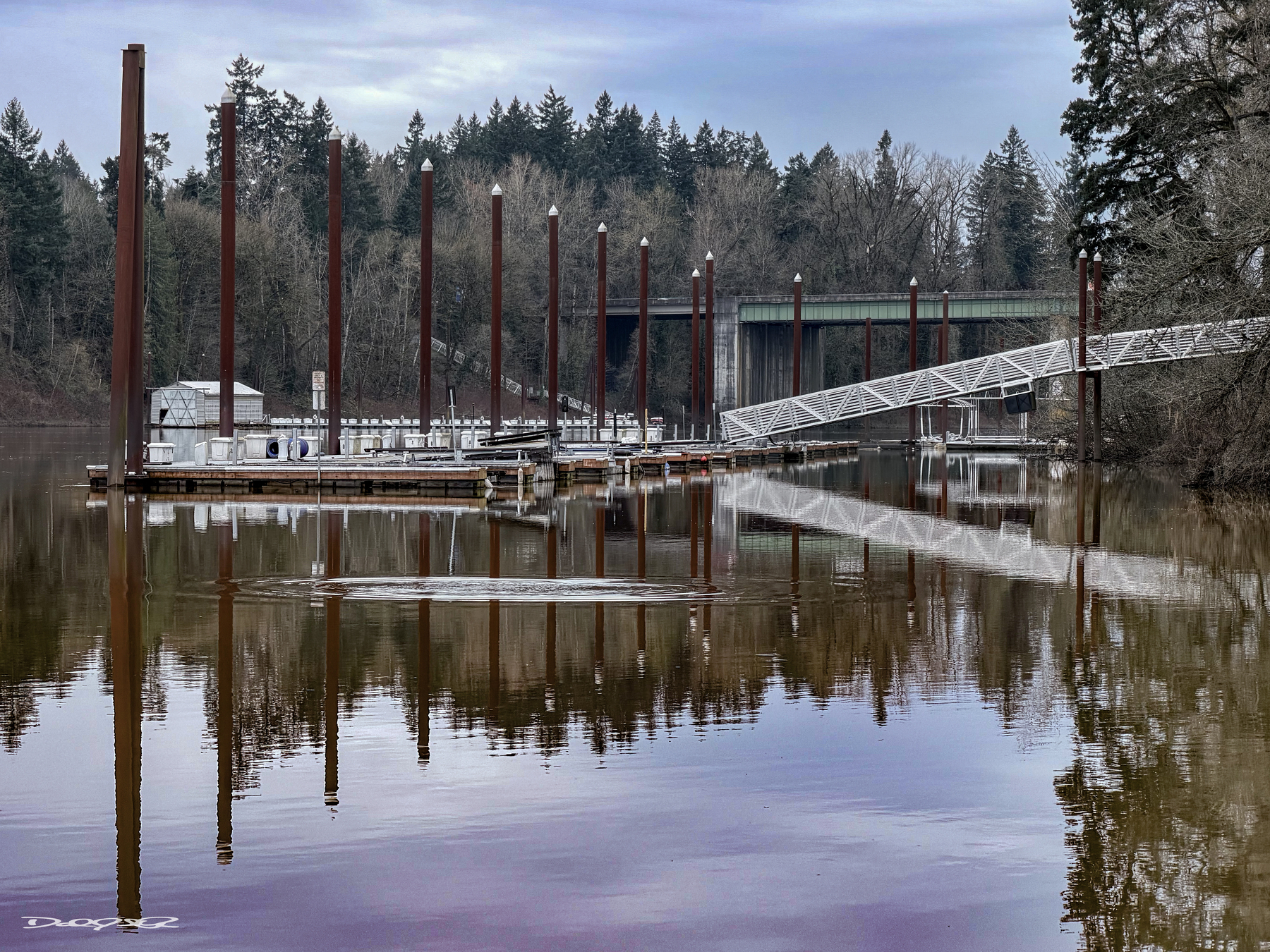 A series of docks and red pilings are reflected in the calm water with a tree-lined shore and a bridge in the background.